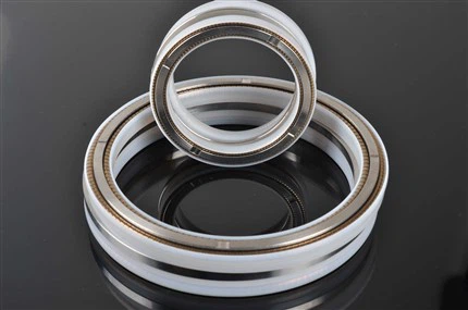 Cryogenic H Spring Energized Seal