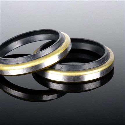 DKB Dust Seal