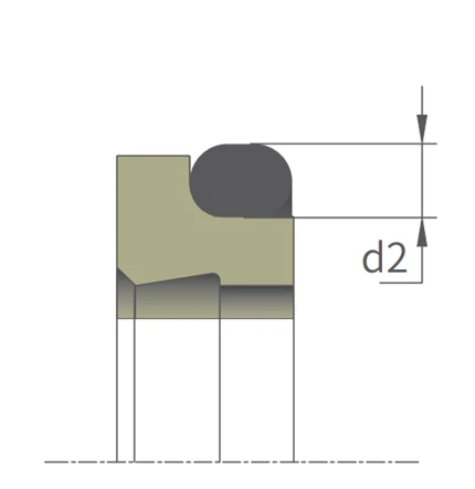 Dust Seal FK3 For Hydraulic