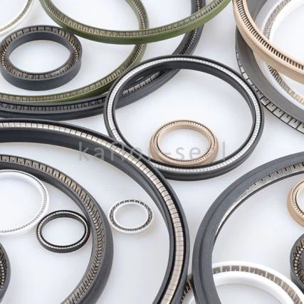 Low Friction PTFE Spring Energized Lip Seal