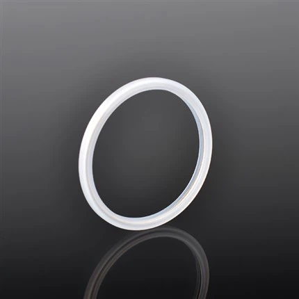 Inside Face Peek Customized Spring Energized Seal