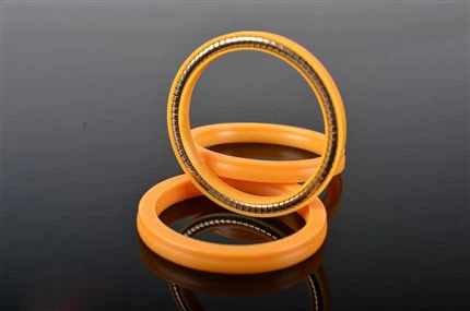 LNG Spring Energized Seal