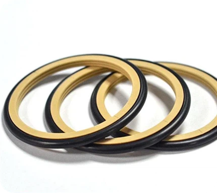 PTFE Glyd Ring Seal