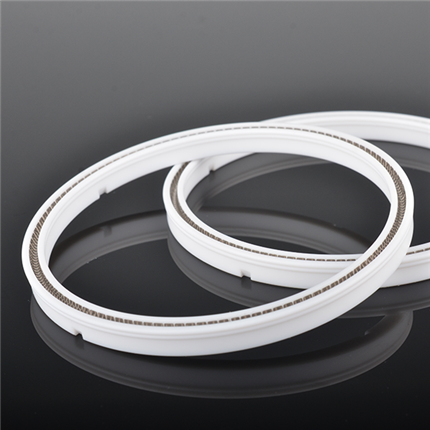 PTFE Spring Loaded Energized Seal For High Pressure Application