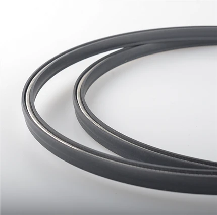 Spring Energized Seal For Crane Tube Seal