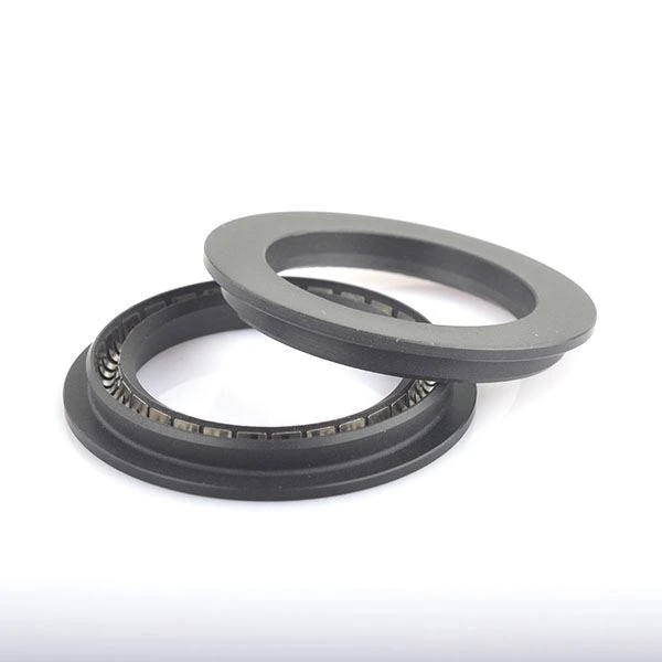 Spring-Energized Seal For High Pressure Fuel Pump